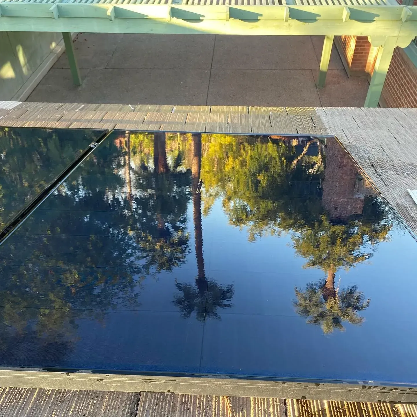 Reflective black surface with palm trees, sky, and building reflections.