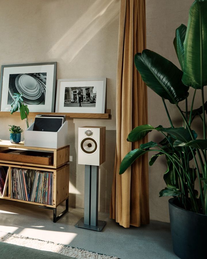 A Living Room With a Plant and a Speaker on a Stand — Complete Audio in Bribie Island, QLD