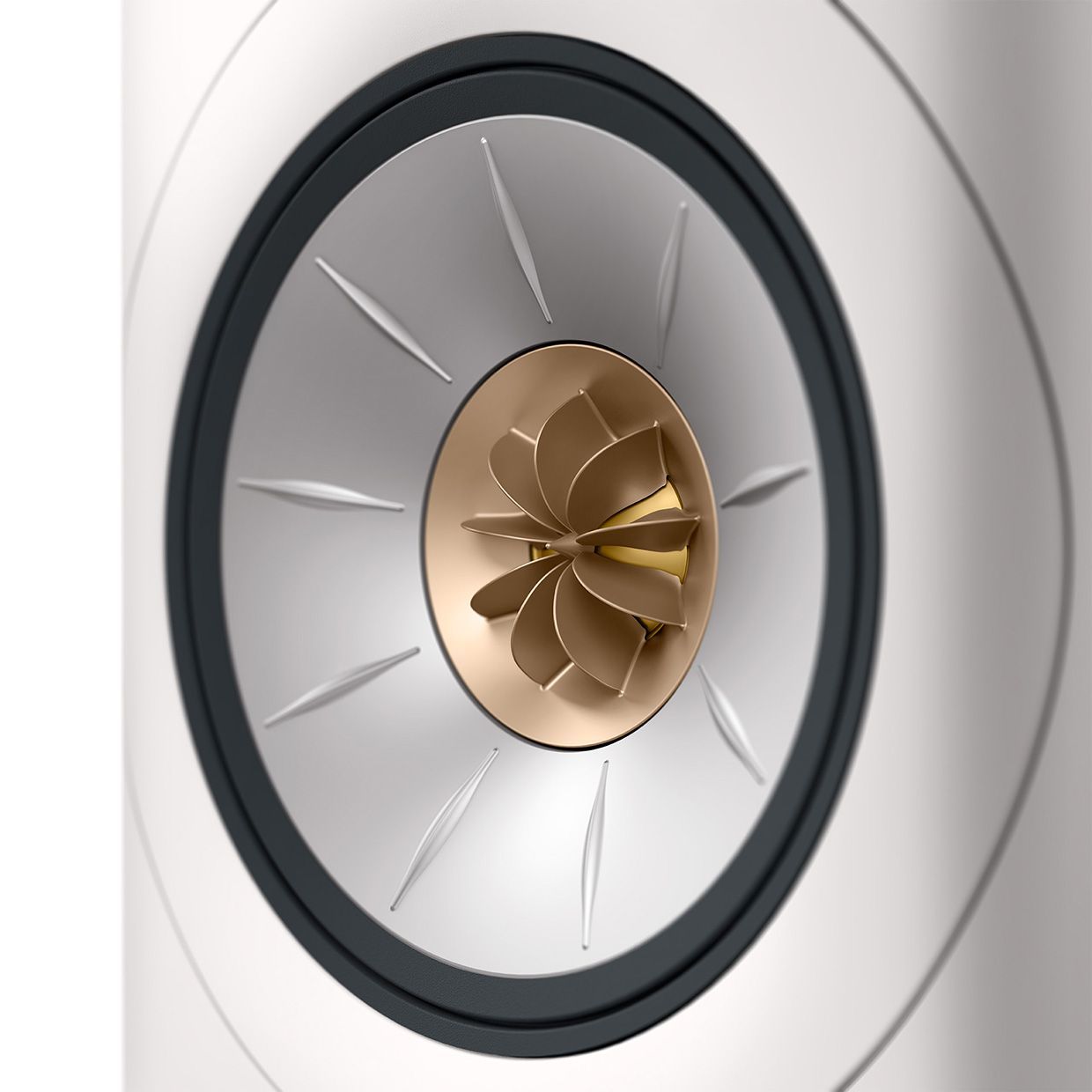 A Close Up of a Speaker With a Black Rim — Complete Audio in Maroochydore, QLD