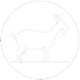 A black and white drawing of a goat in a circle.