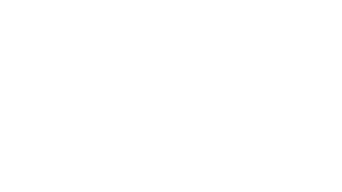 Boger's Shoes logo