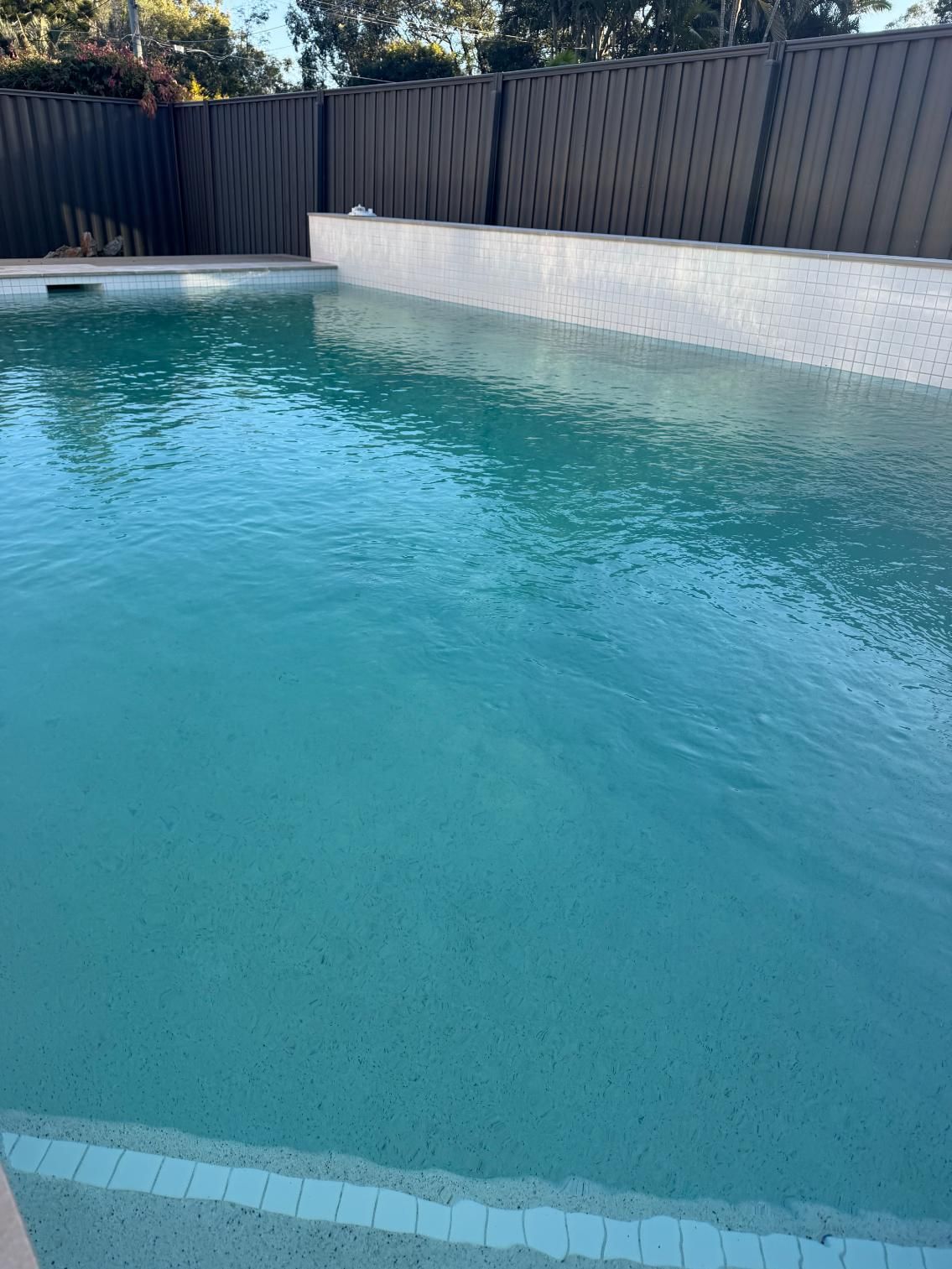 Backyard swimming pool with clear blue water, white-tiled edge, and dark wooden fence beside greenery