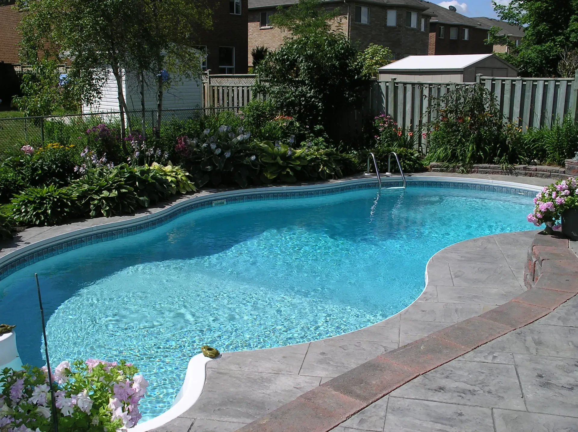 A backyard swimming pool with clear blue water surrounded by flowers and foliage.