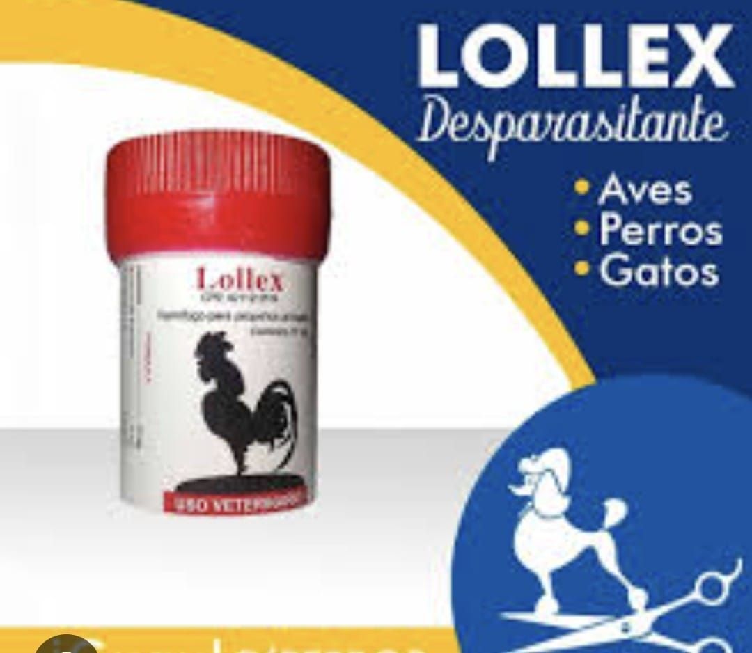 lollex