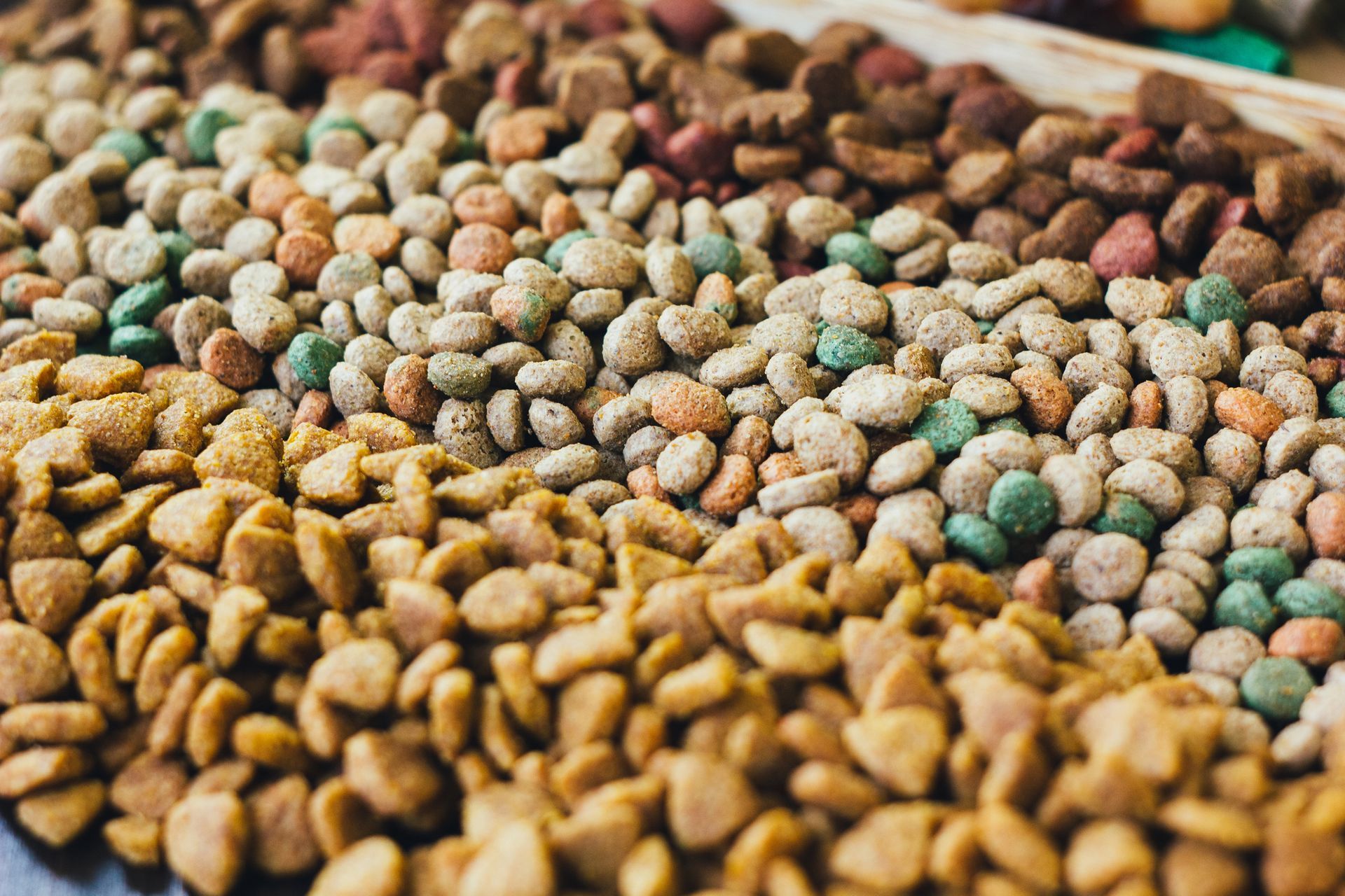 Hay muchos tipos diferentes de comida para perros en la mesa.