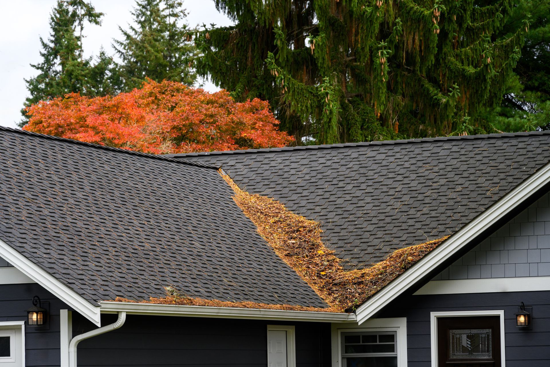 House roof covered in fallen leaves, with autumn foliage in background.