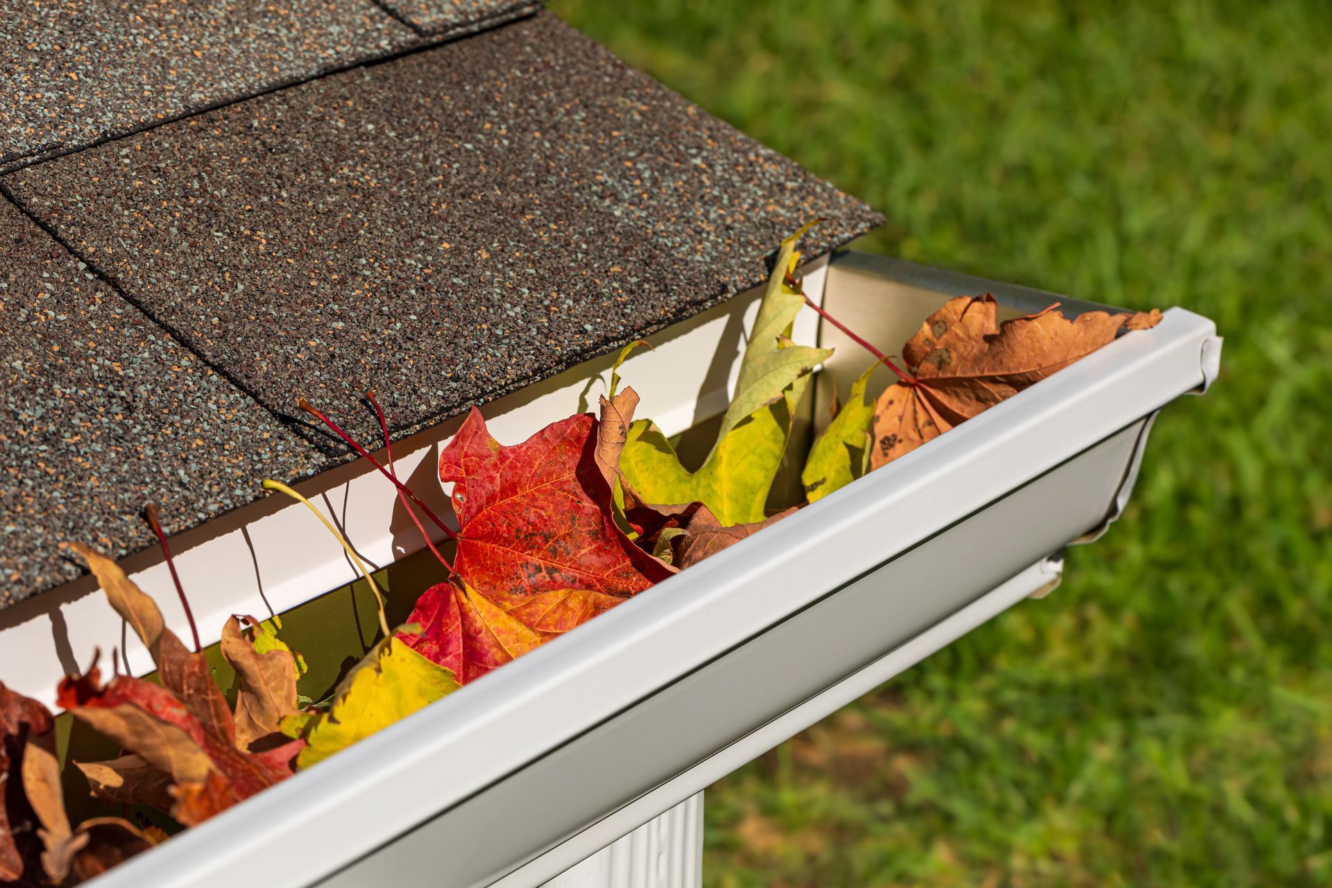 Clogged white gutter filled with colorful autumn leaves next to a brown shingled roof.