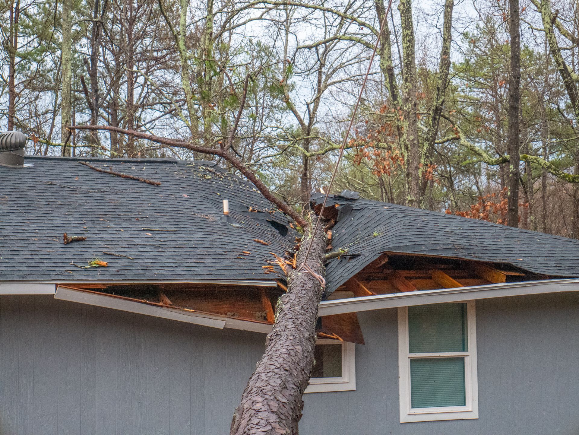 Tree fallen through a roof, damaging shingles and exposing the house's structure.