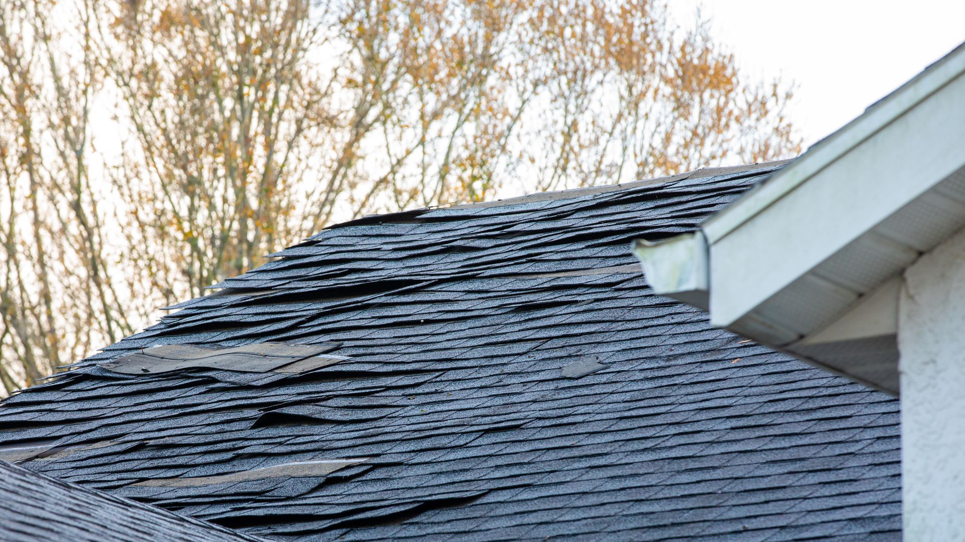 Damaged asphalt shingle roof, with missing and curling shingles, against a blurred tree backdrop.