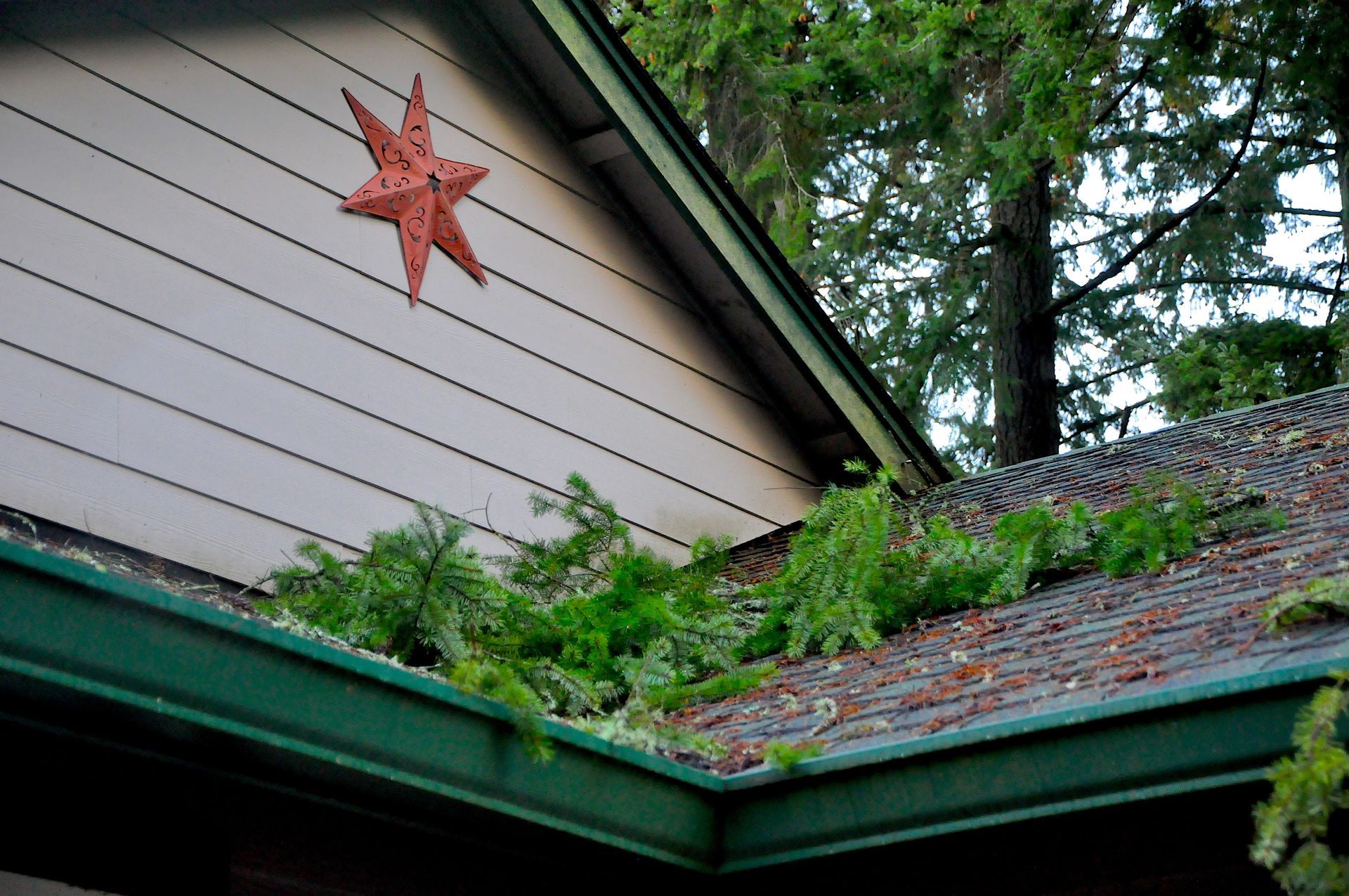 Green gutter overflowing with pine needles; star decoration on the house siding.