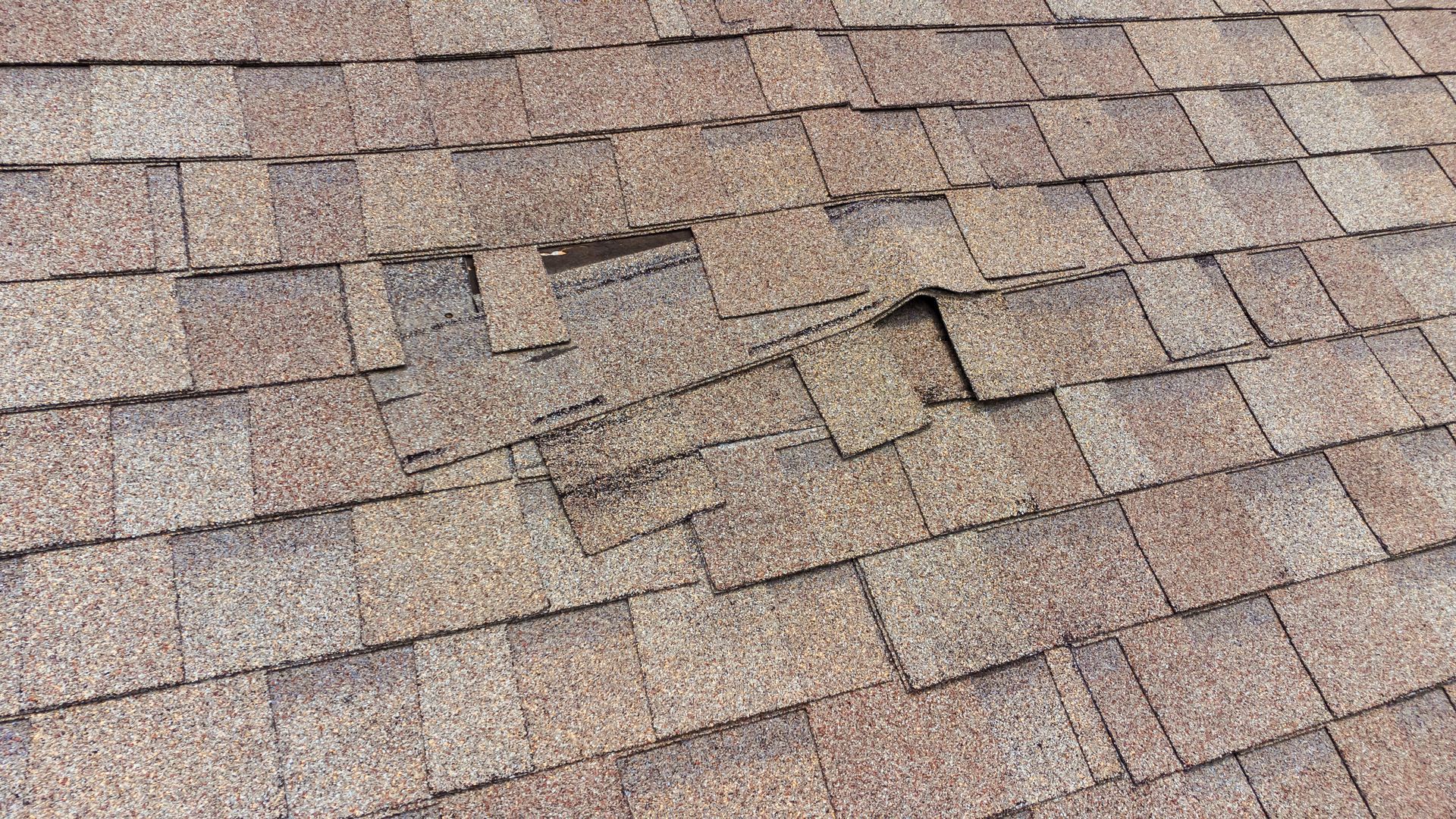 Damaged asphalt shingle roof. Several shingles are missing or damaged in a central area.