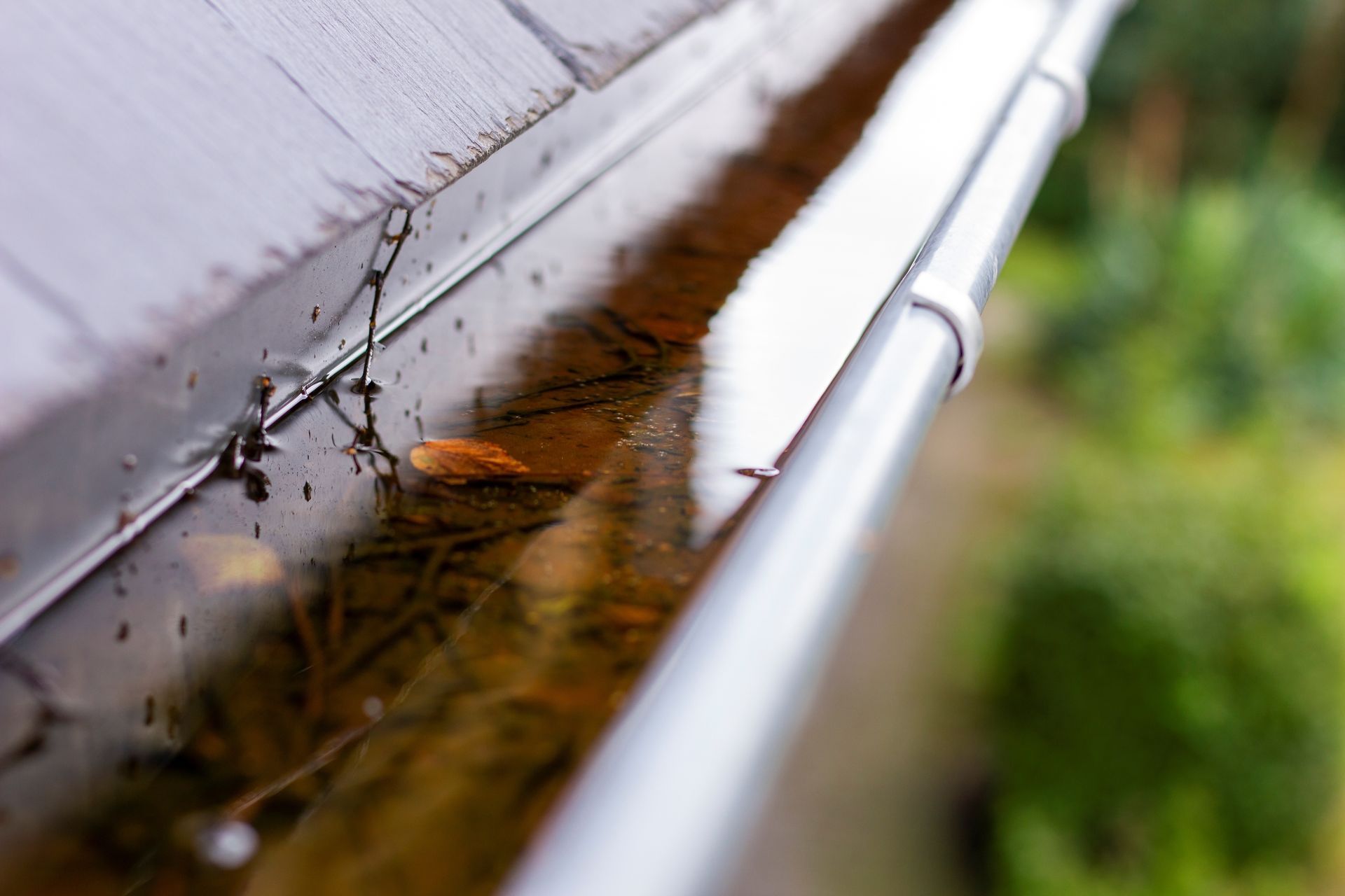 Rain gutter filled with water, leaves, and debris, close-up shot.