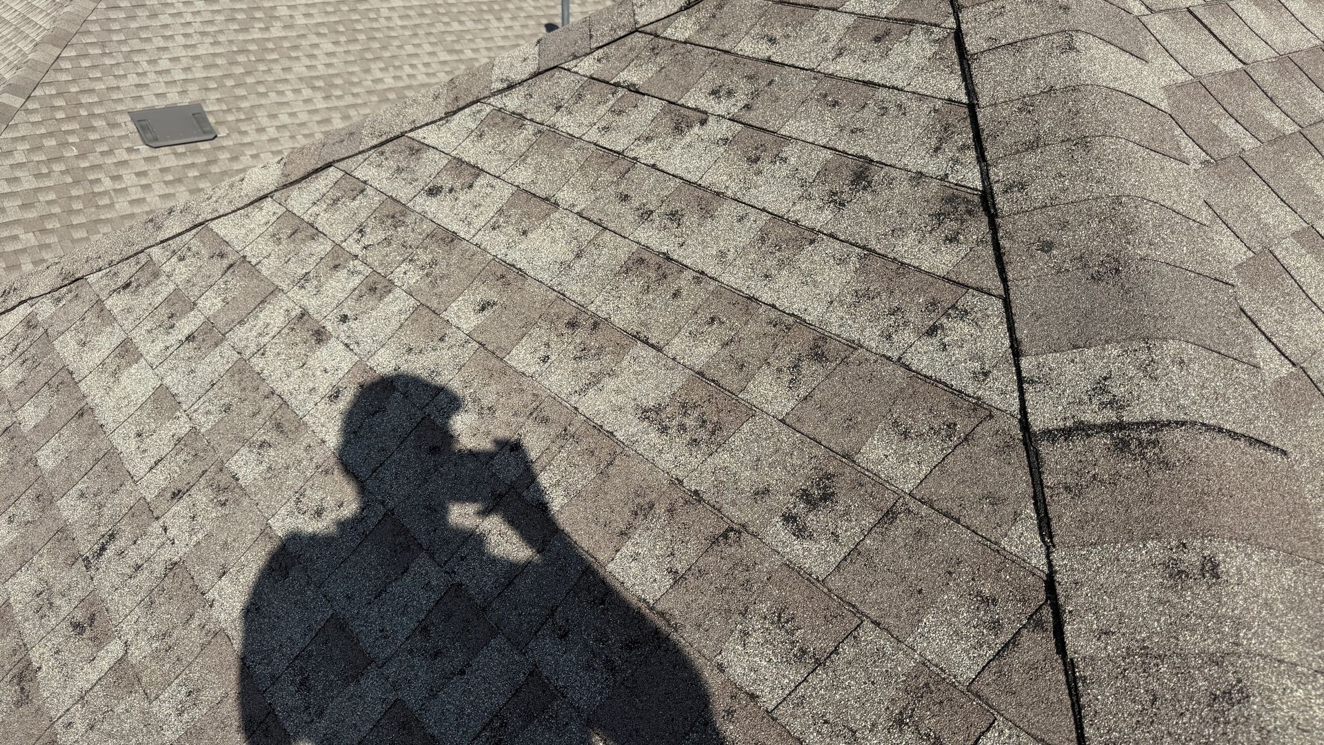 Red clay roof tiles, half covered in black moss, cleaned on the right.