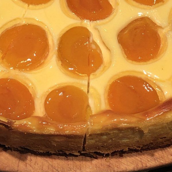Aprikosen Käsekuchen