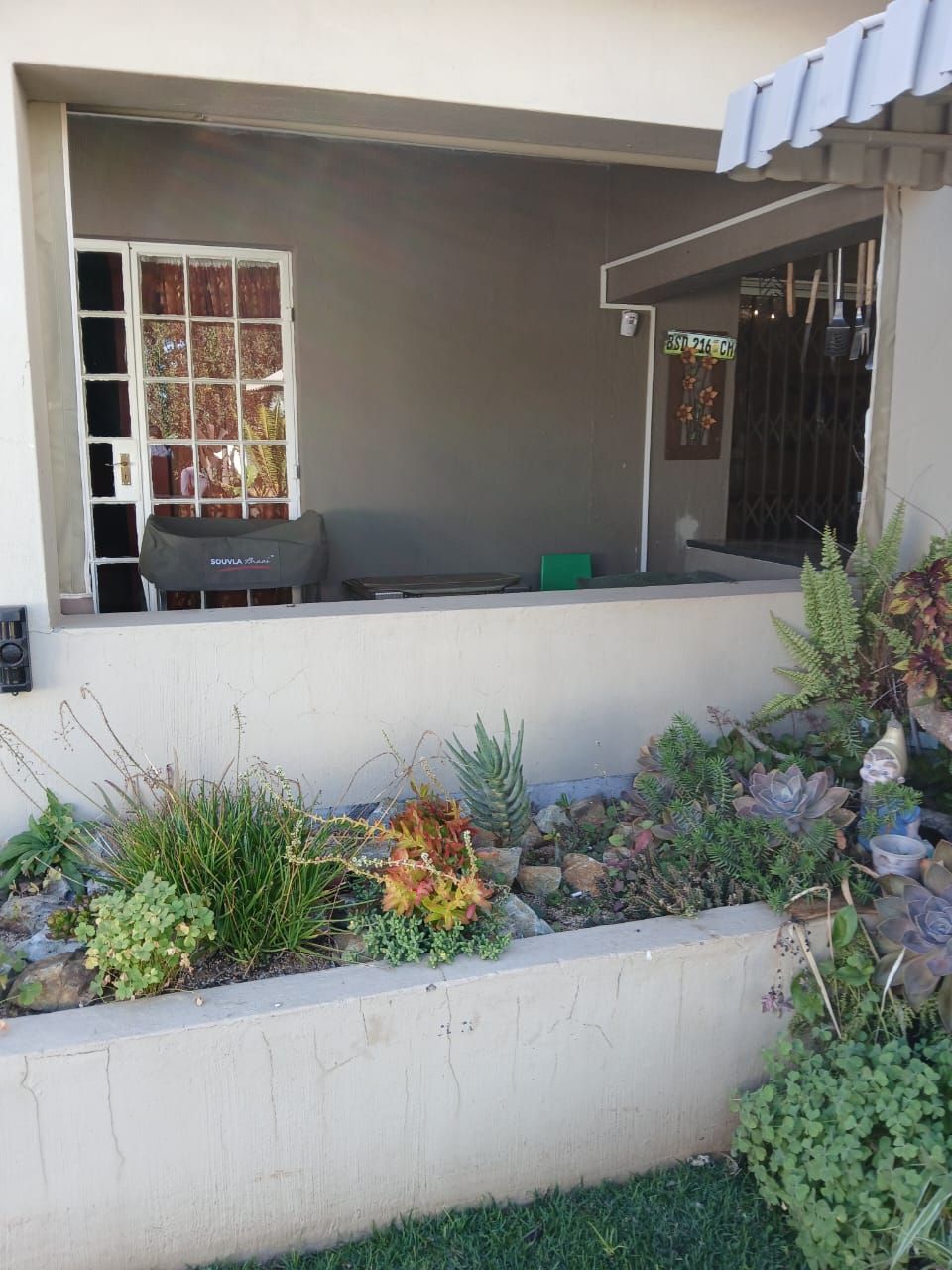 A garden bed with various succulents in front of a shaded patio with a window.