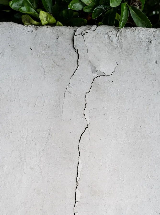 Gray Concrete Wall With a Prominent Vertical Crack, With Green Leaves — Unique Waterproofing Solutions in North Rocks, NSW