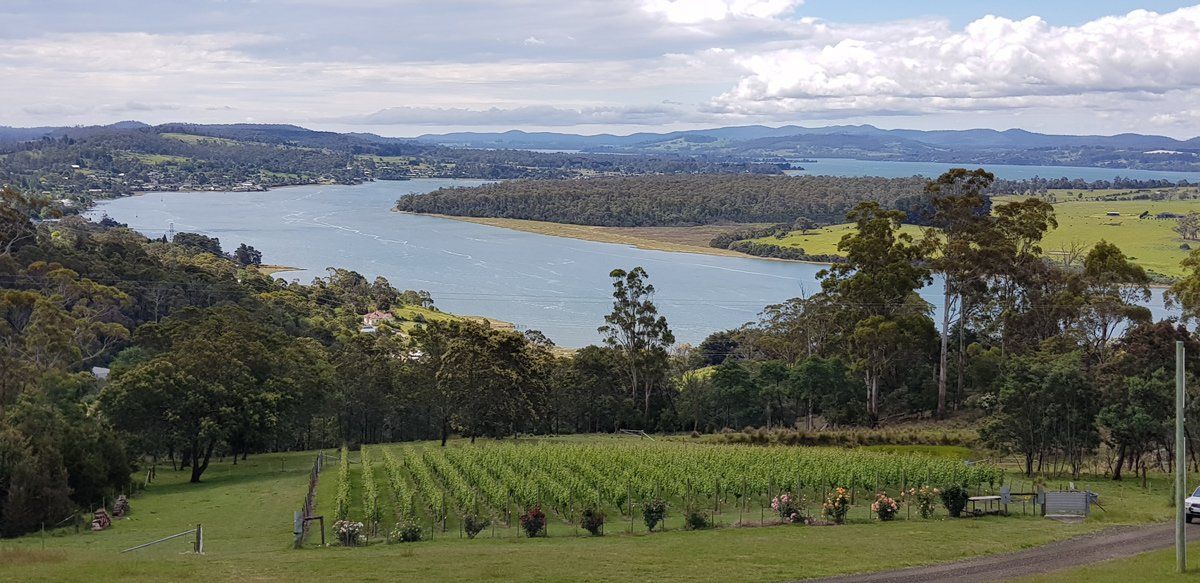 The beautiful Tamar valley wine region of Launceston Tasmania