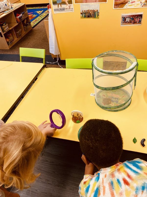 Two children observing items on a yellow table: a butterfly habitat, magnifying glass, and small insect-like figures.