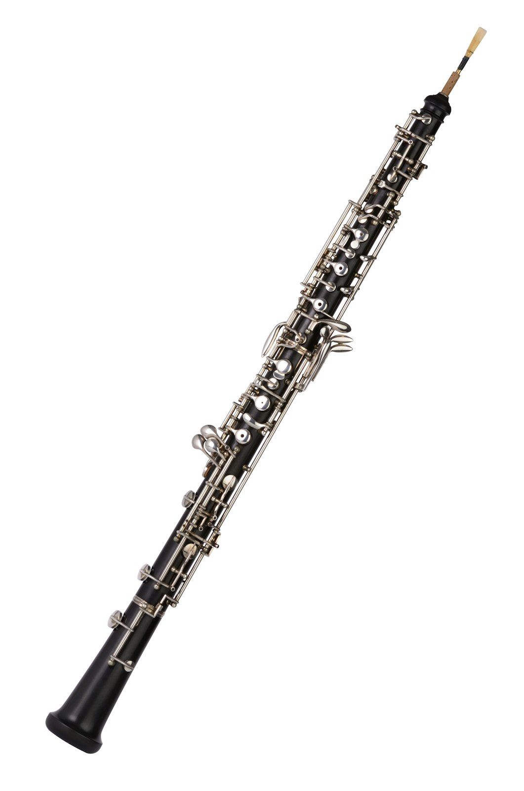 Oboe