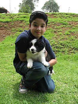 niño con cachorro