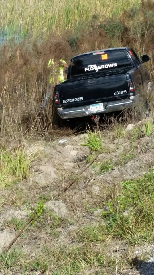 Black pickup truck crashed in a grassy ditch.