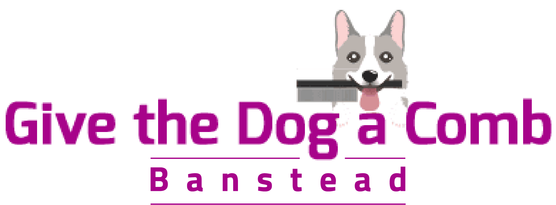 Give the Dog a Comb a premier dog grooming salon in Surrey