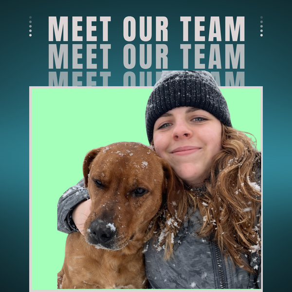 Image of woman hugging a brown dog on Midwest Dog Center