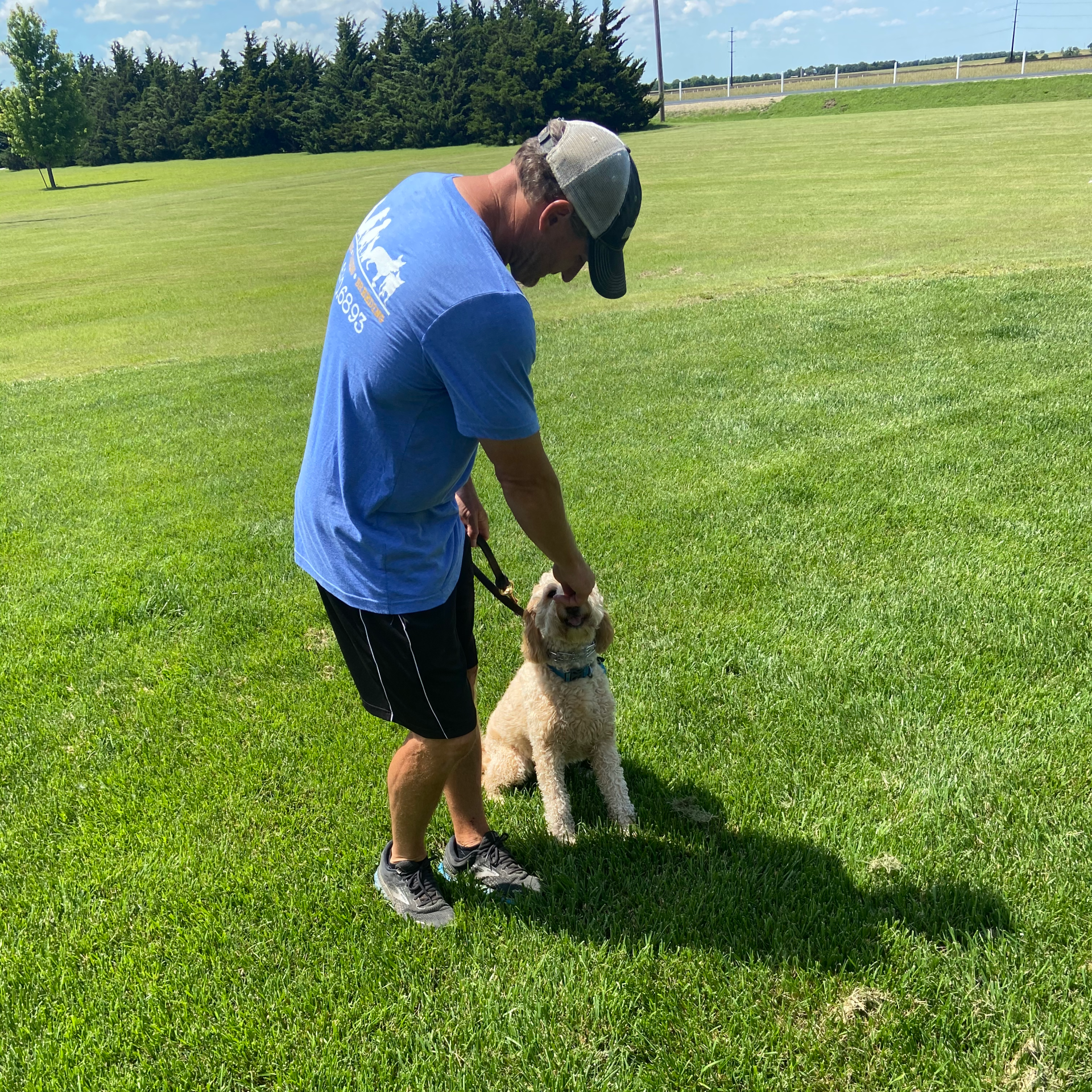 Man training dog
