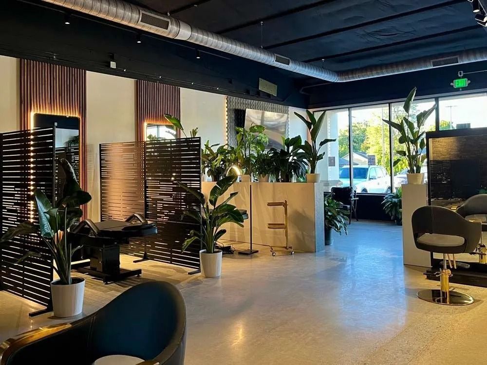Modern office lounge with potted plants, desks, chairs, and bright windows