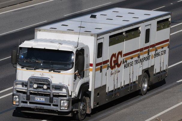Weekly Runs Around Australia — Cranbourne, VIC — GC Horse Transport