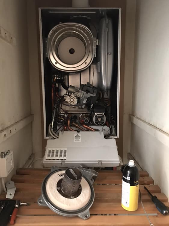 Blue Flames burning from a gas stove.