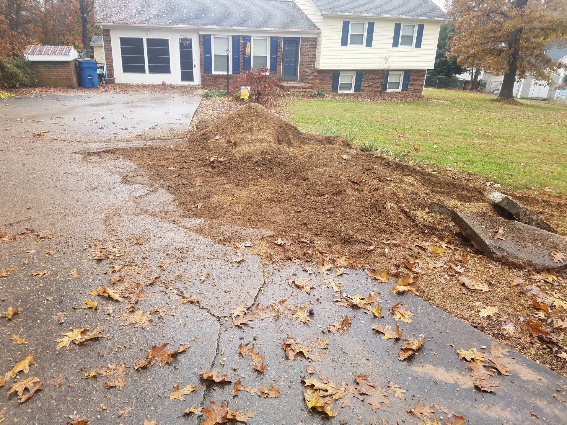 after removal of the stump