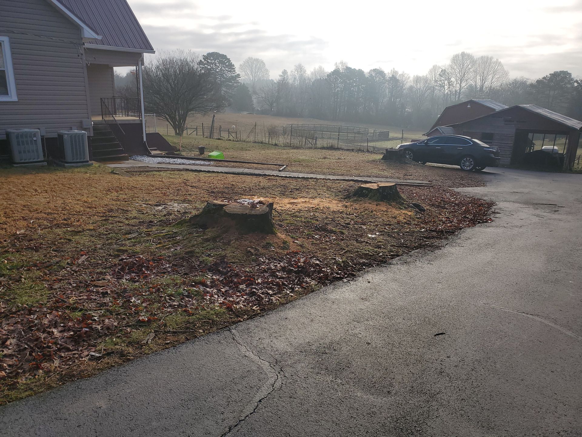 Stumps next to a driveway