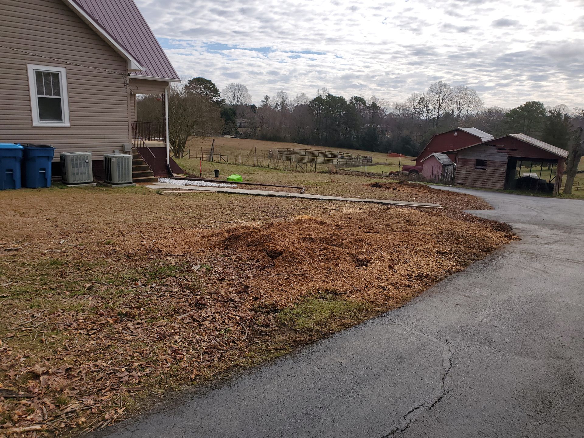 Photo after the stumps were ground, before removal of the grindings.
