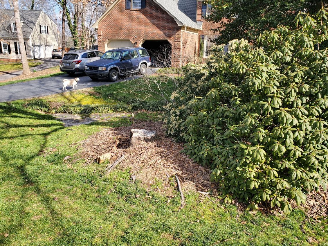 stump in a flower bed near a driveway