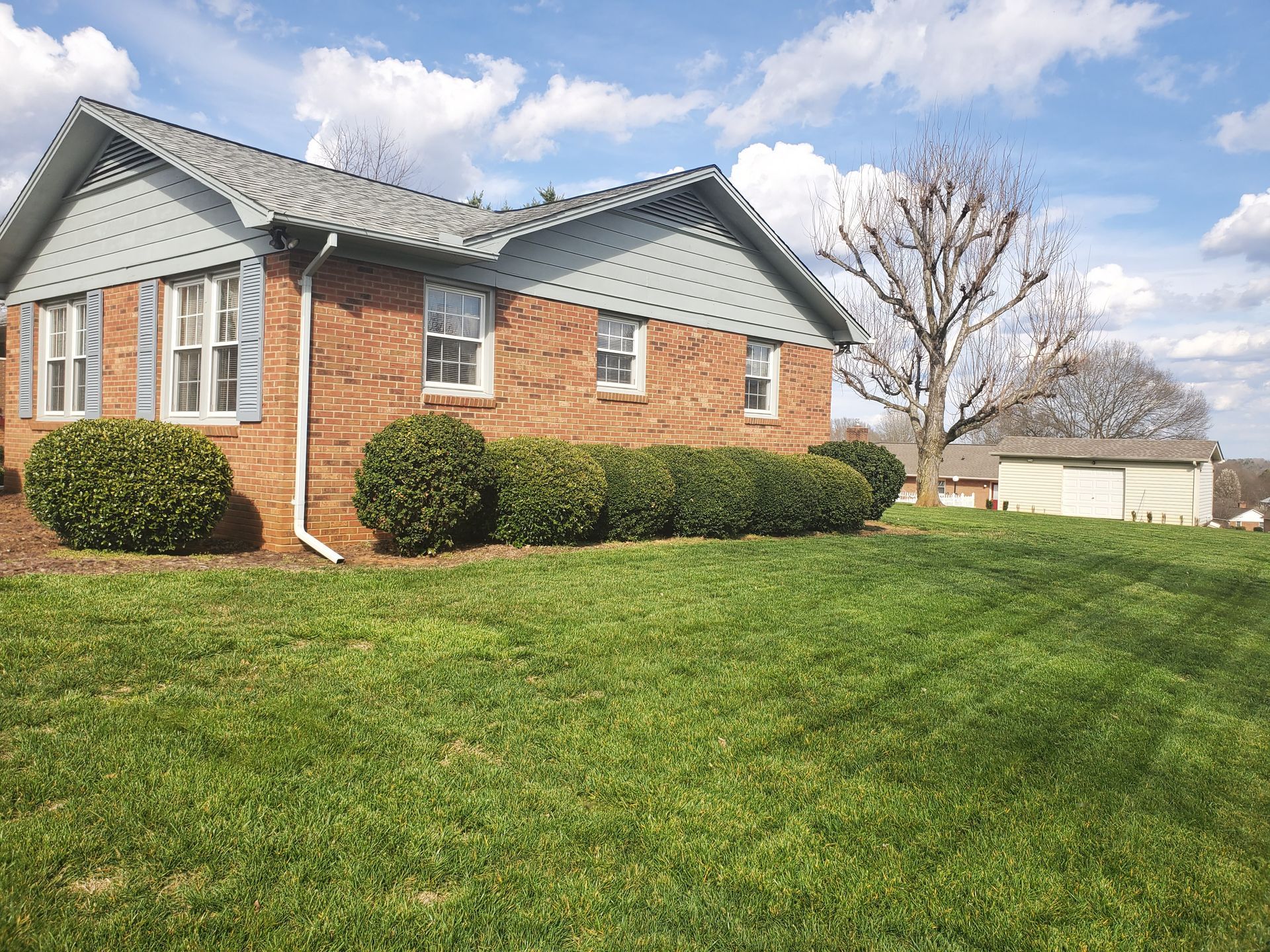 Bushes next to a house before removal.