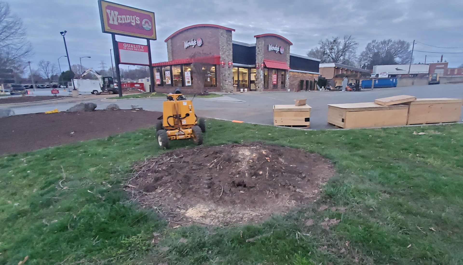 Photo of before grinding a stump during a remodeling project.