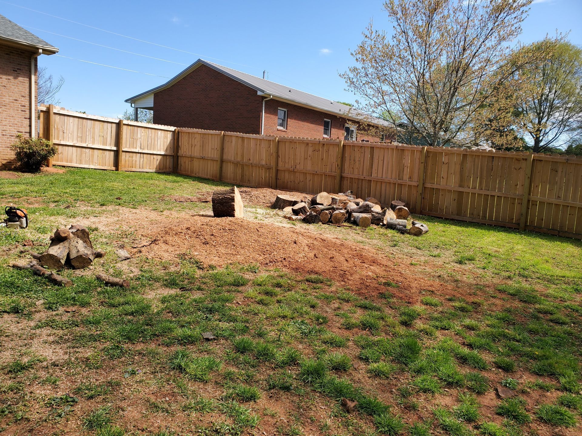 Photo of after the tree has been cut and the stumps have been removed.