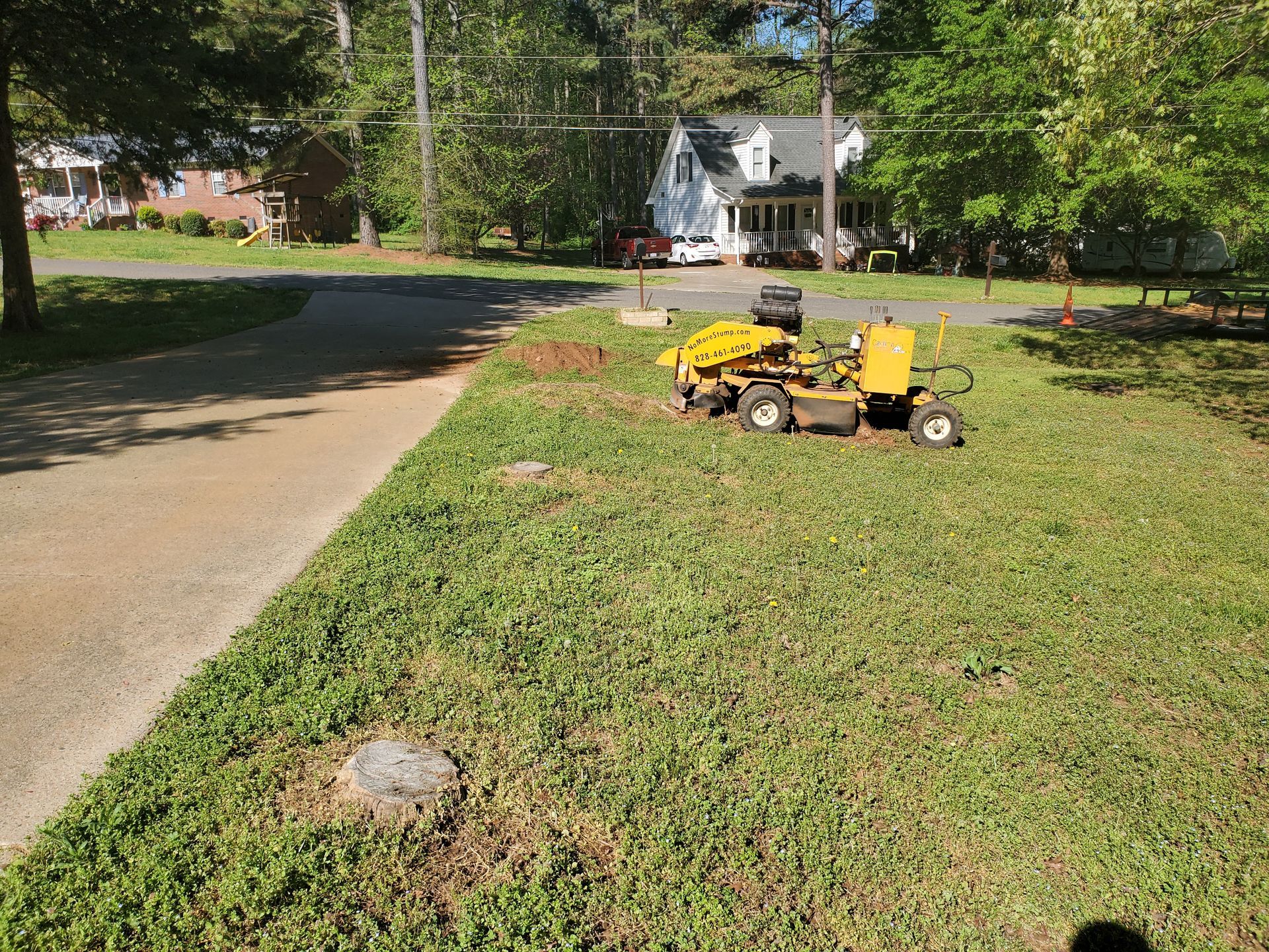 Stumps next to a driveway before grinding