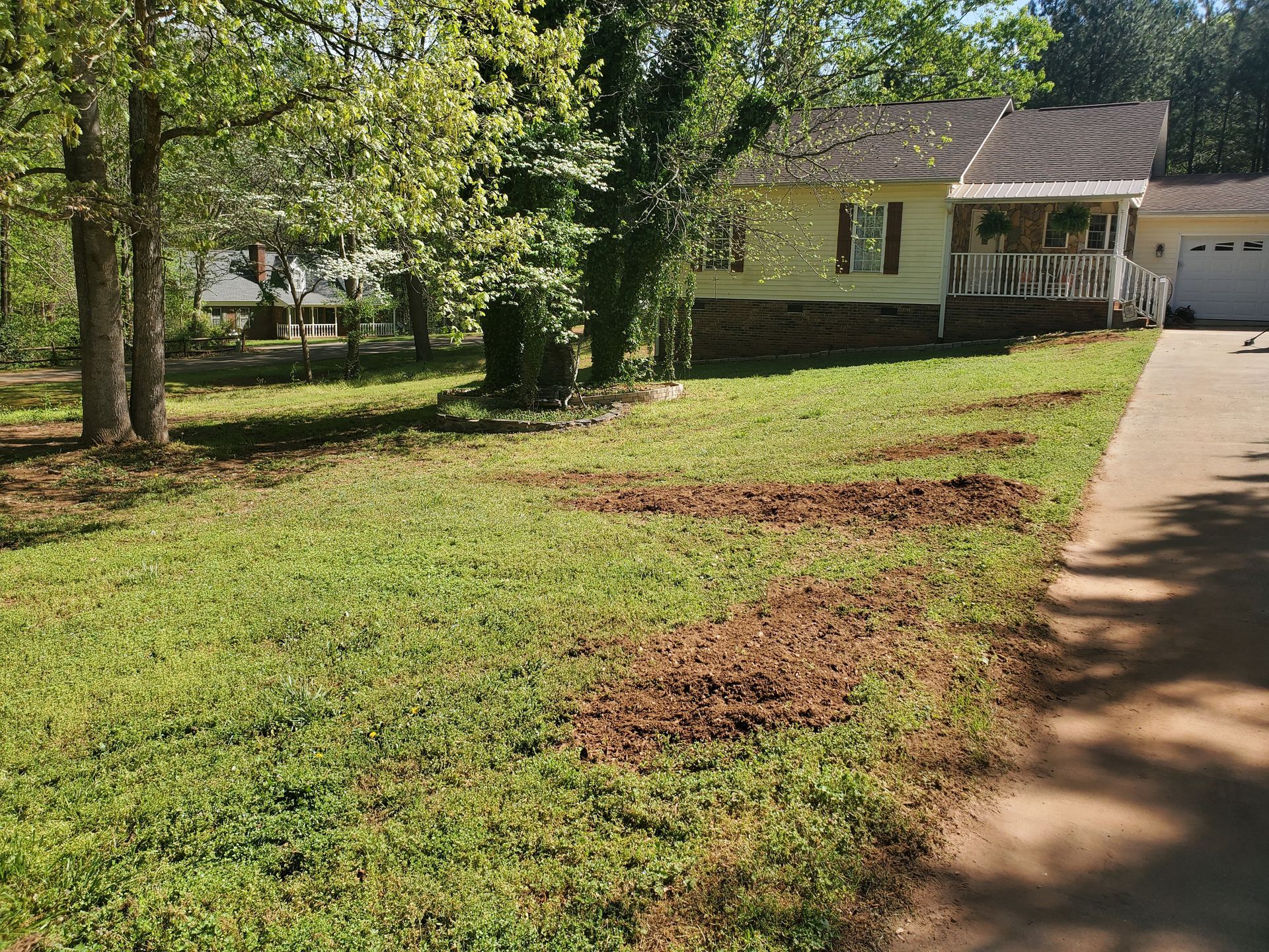 stumps after grinding that were next to the driveway.