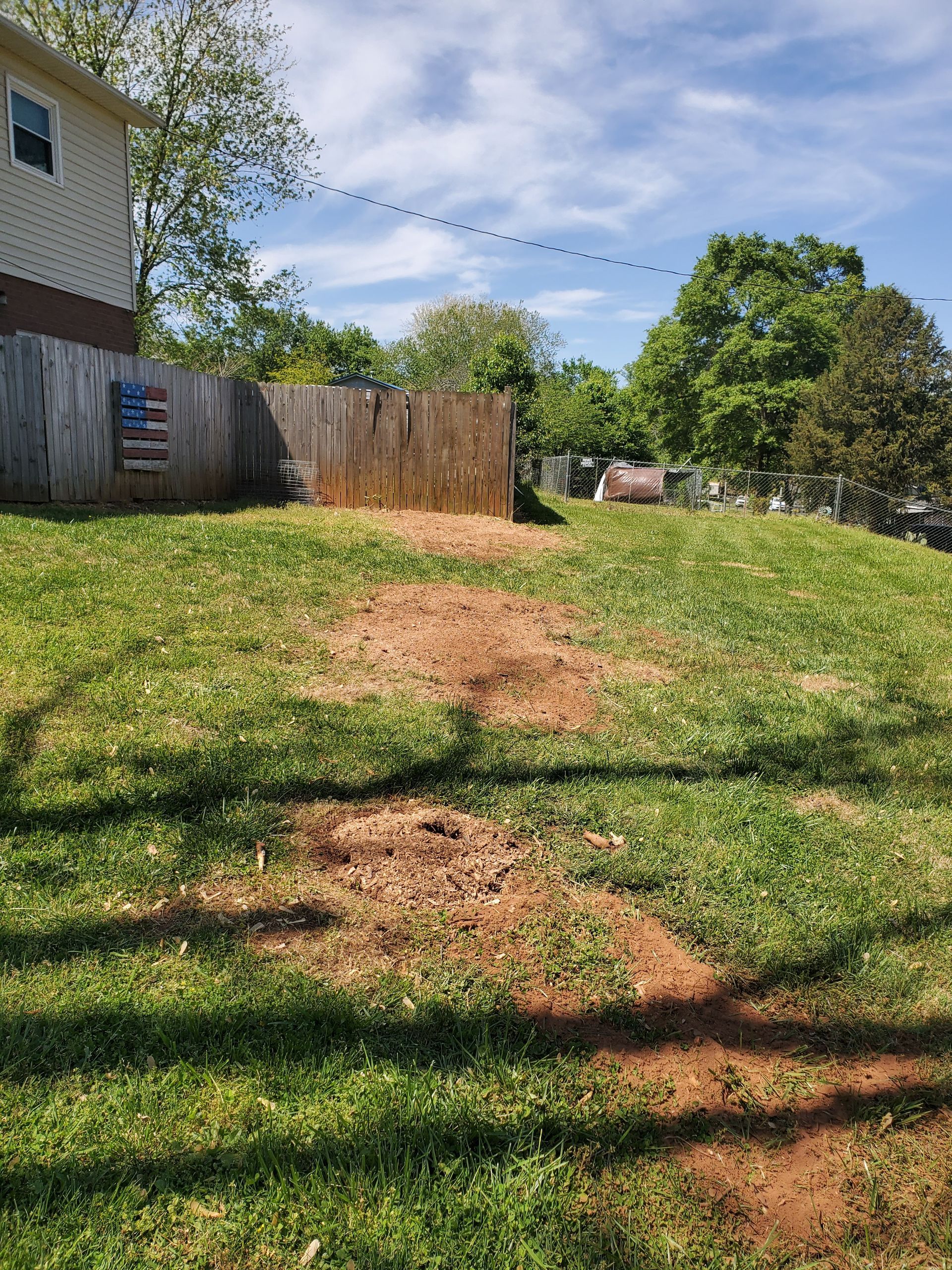 After Stump grinding and removal.