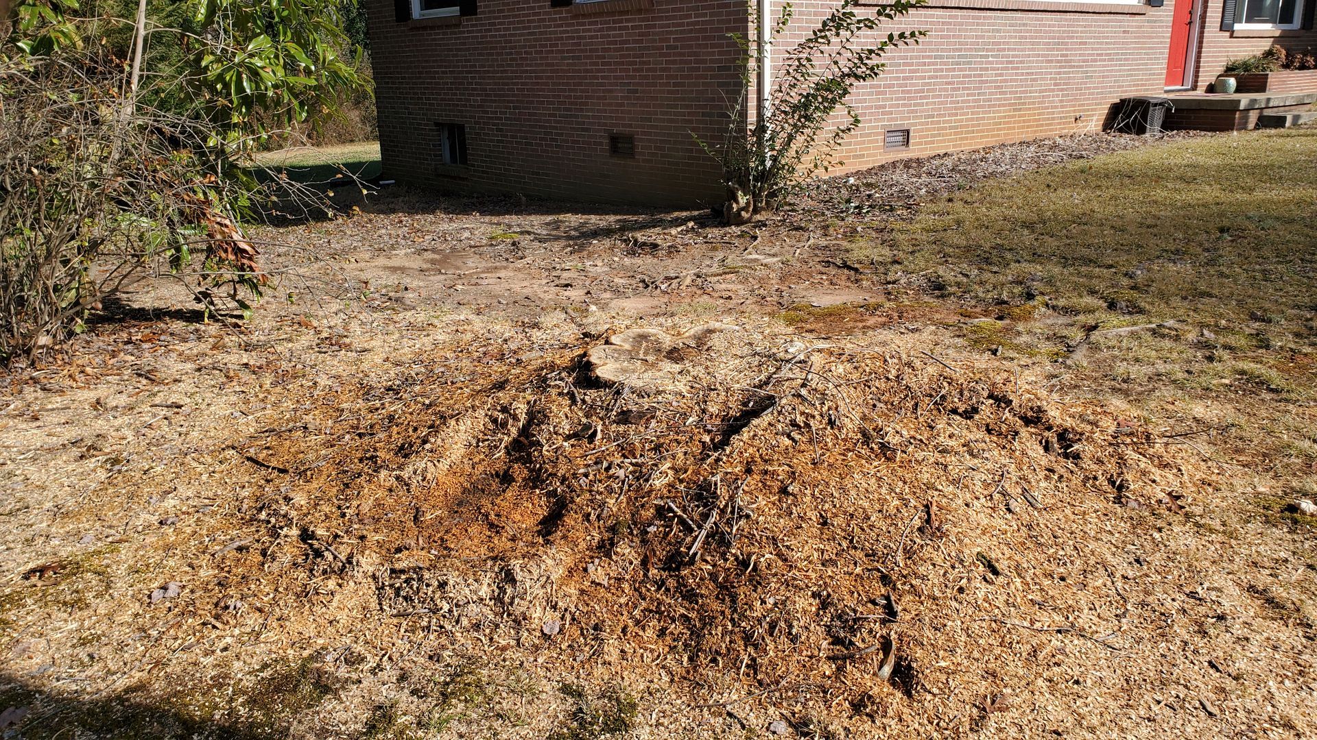 Stump in yard next to a house.