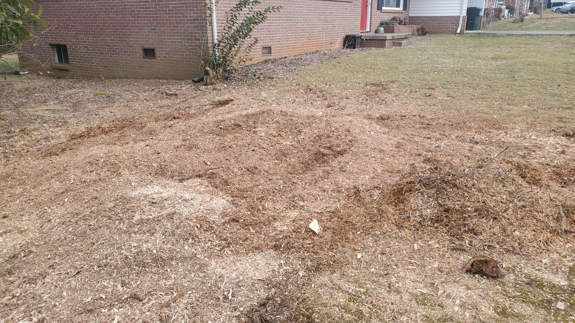 After grinding photo of the stump that was next to the house.