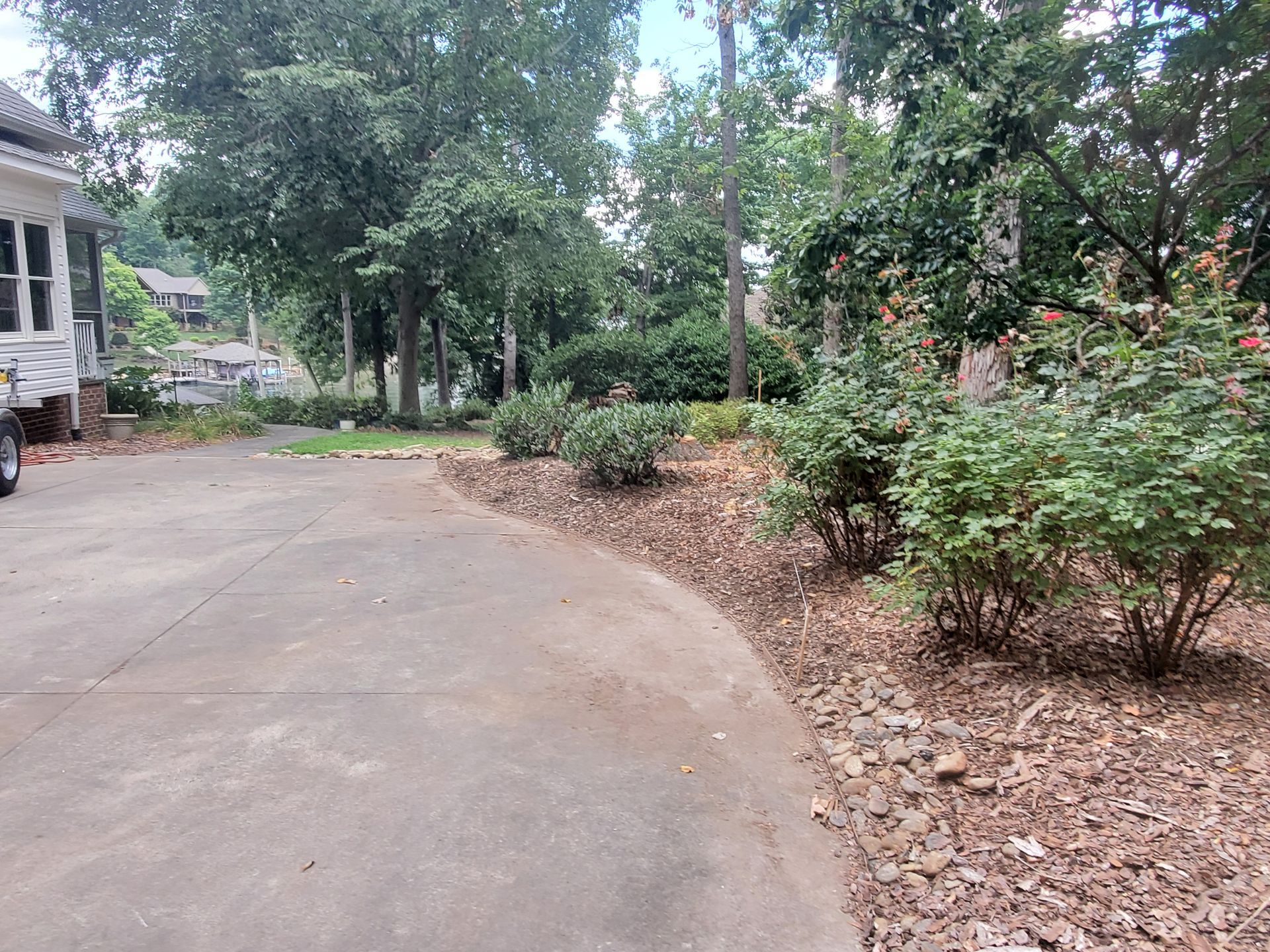 Bushes and stumps needing to be removed.