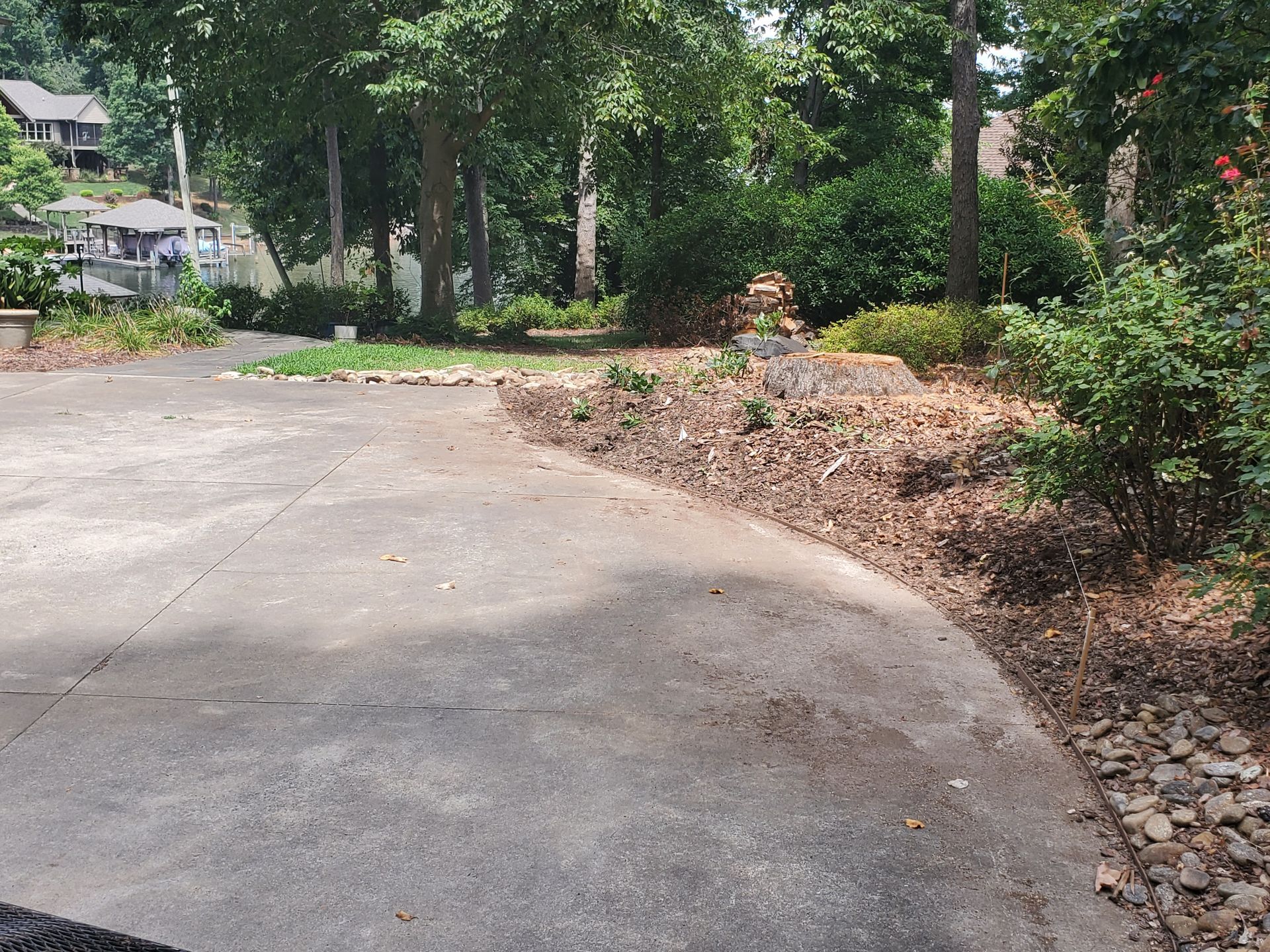 Stumps needing to be removed.