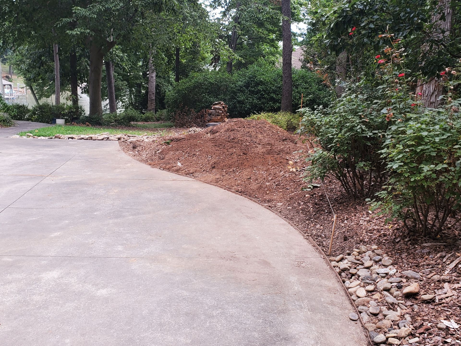 After photo of stump grinding.