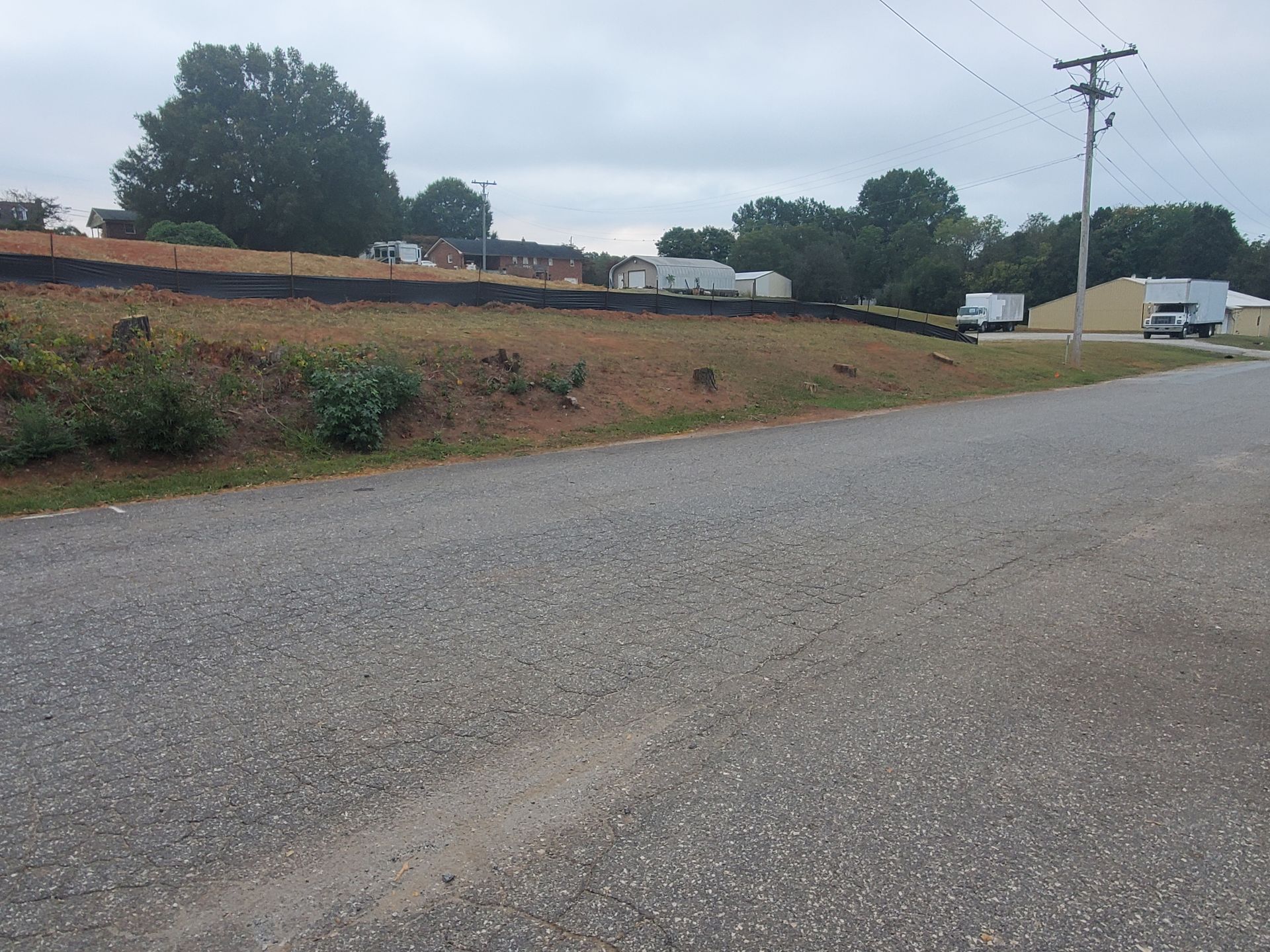 Stumps on an embankment.