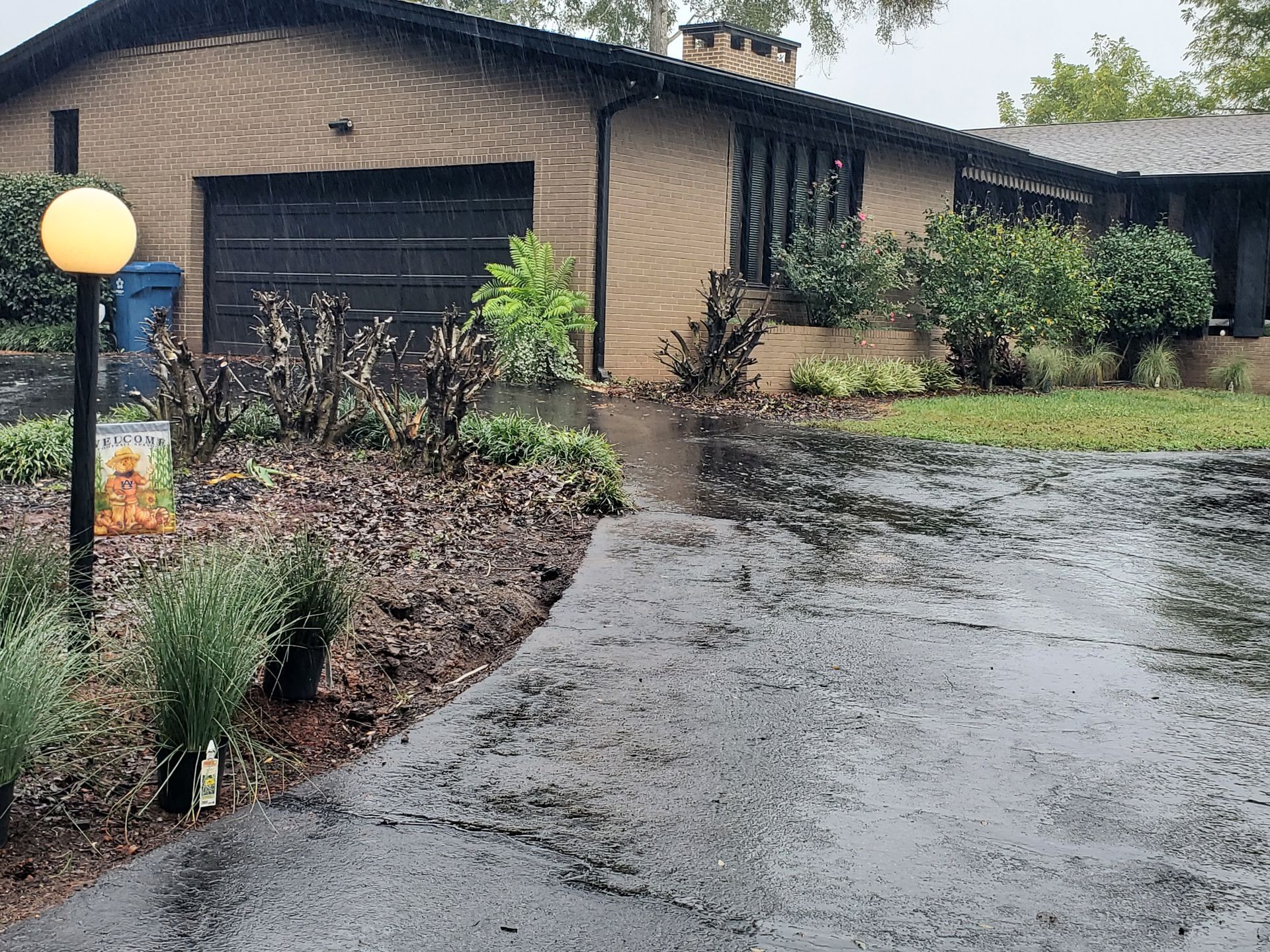 Photo of a driveway with bushes that need to be removed.