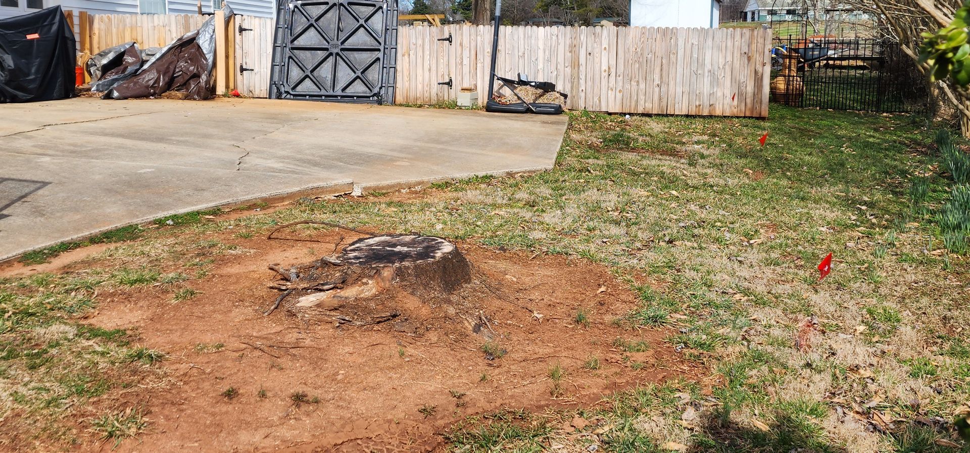stump next to a driveway