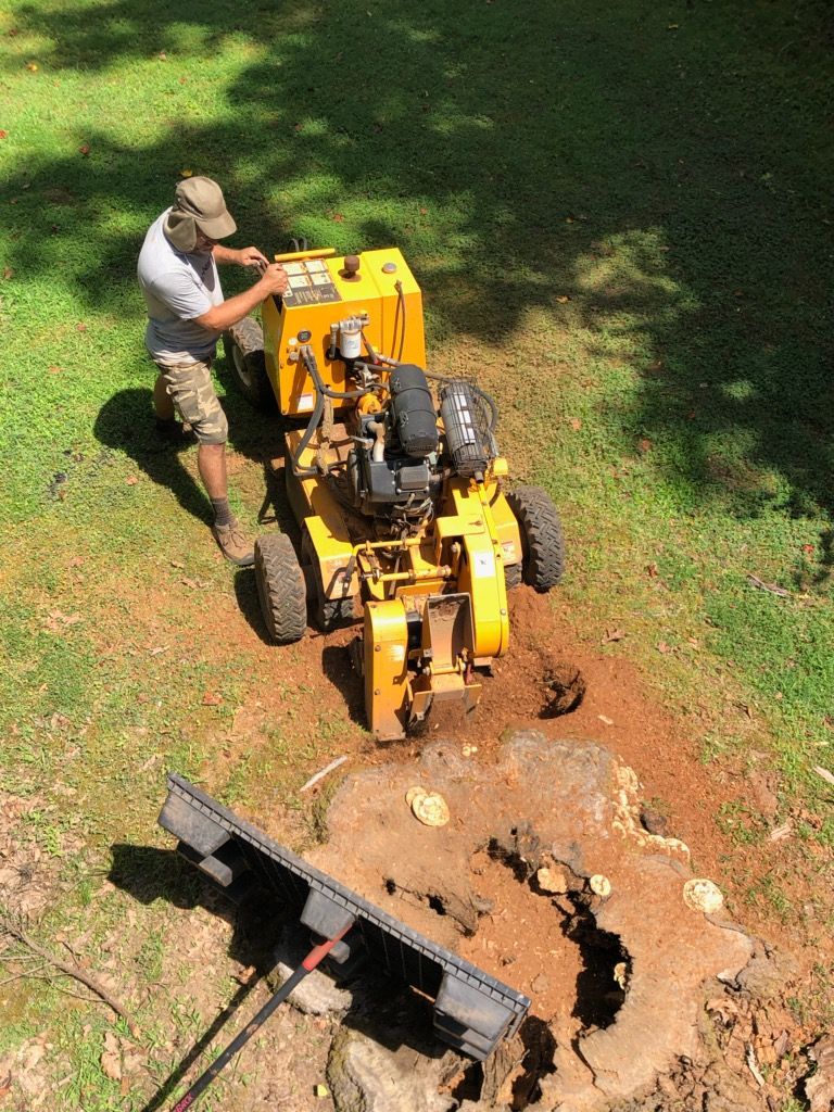 Photo while grinding a stump.